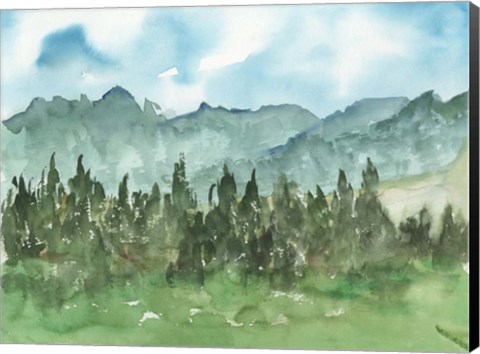 Framed Stand of Evergreens II Print