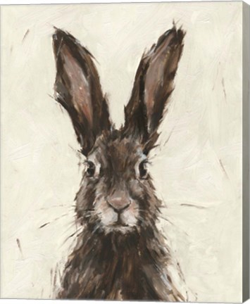 Framed European Hare I Print