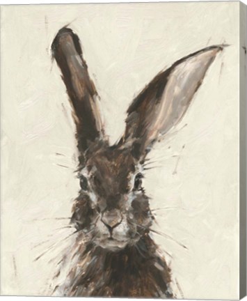 Framed European Hare II Print