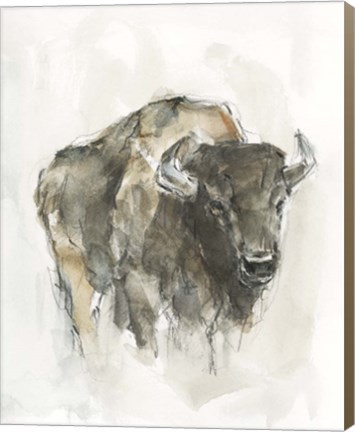 Framed American Buffalo I Print