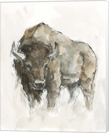 Framed American Buffalo II Print