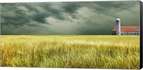 Framed Yellow Field Print