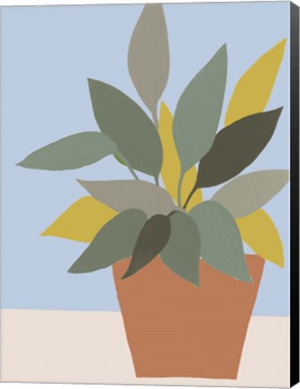 Framed Ordinary Houseplant IV Print