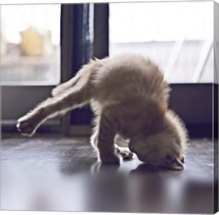 Framed Cat Yoga X Print