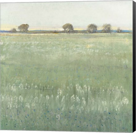 Framed Green Meadow I Print