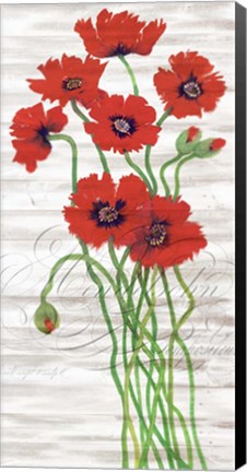 Framed Red Poppy Panel I Print