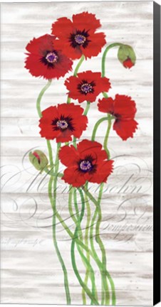 Framed Red Poppy Panel II Print