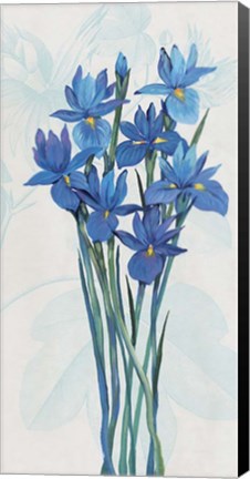 Framed Blue Iris Panel II Print