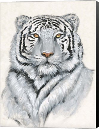 Framed White Tiger I Print