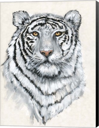 Framed White Tiger II Print