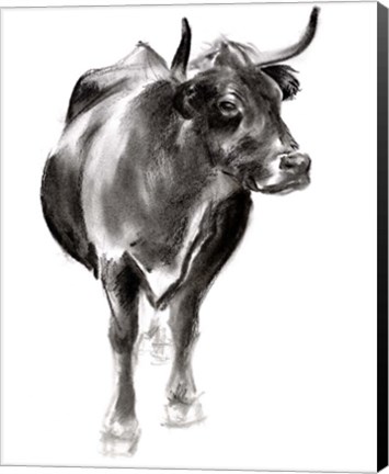 Framed Charcoal Cattle I Print