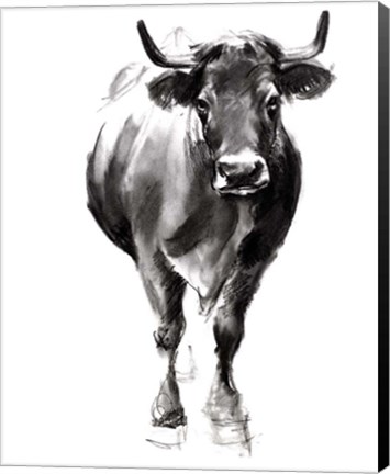 Framed Charcoal Cattle II Print