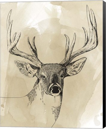 Framed Burnished Buck I Print