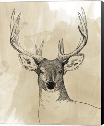 Framed Burnished Buck II Print