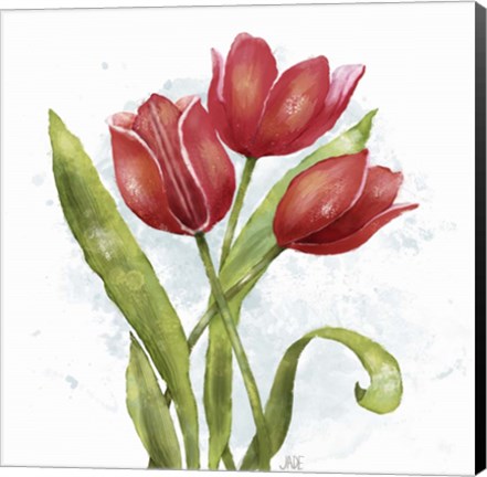 Framed Red Tulip Splash II Print