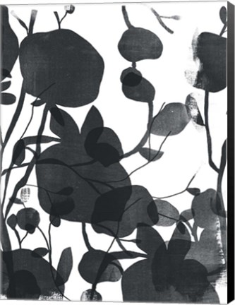Framed Monoflora II Print