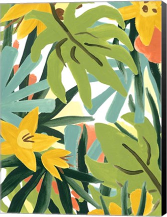 Framed Palm Thatch II Print