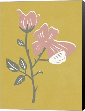 Framed Blossom Bud II Print