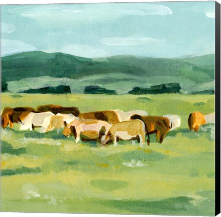 Framed Rural Fields II Print