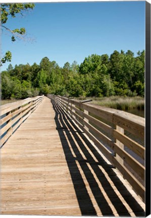 Framed Alabama, Theodore Bayou Boardwalk of the Bellingrath gardens Print