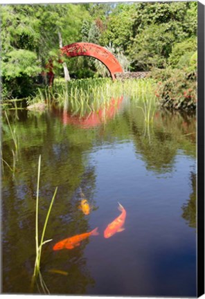 Framed Alabama, Theodore Bridge and Koi Pond at Bellingrath Gardens Print