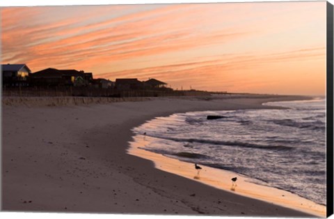 Framed Alabama, Gulf Shores, Beach, shore birds Print