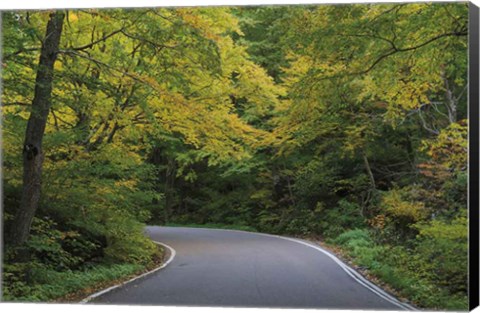 Framed Smugglers Notch Road Print