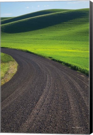 Framed Going Through Palouse Wheat Fields Print