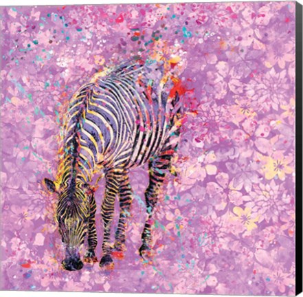 Framed Crazy Zebra II Print