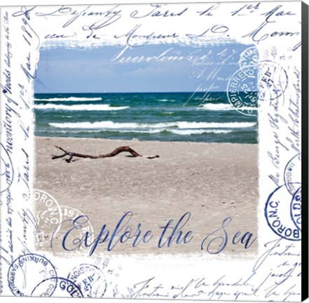 Framed Collage II Print