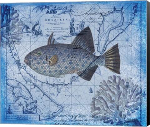 Framed Tropical Fish Print