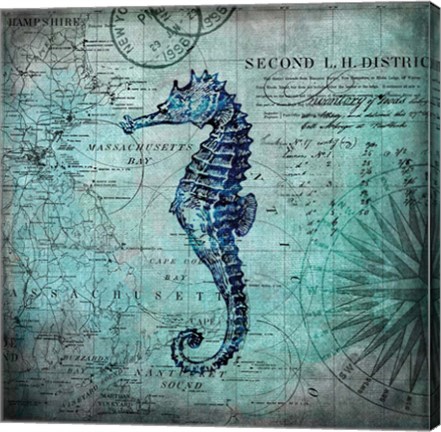 Framed Sea Horse Print