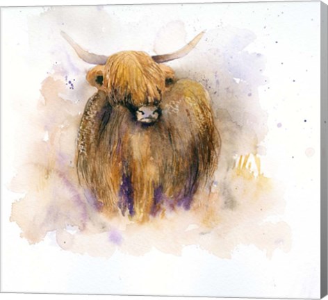 Framed Highland Cow Print