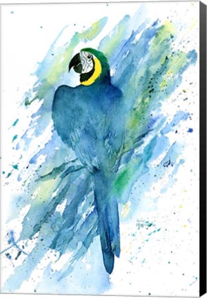 Framed Green Macaw Print