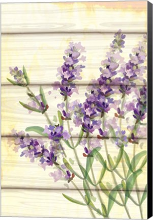 Framed Floral Lavender I Print