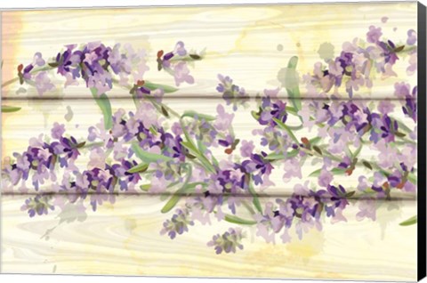 Framed Floral Lavender III Print