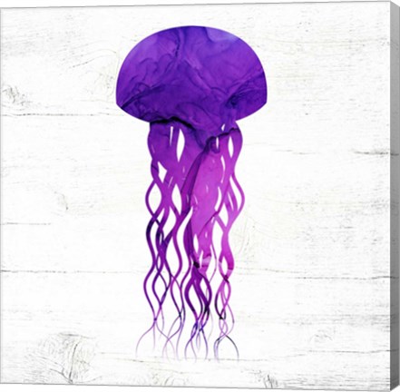 Framed Jelly Fish Print