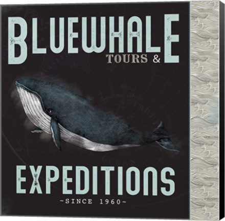 Framed Blue Whale Tours Print