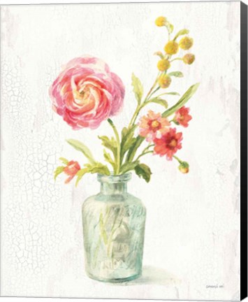 Framed Full Bloom VII Print