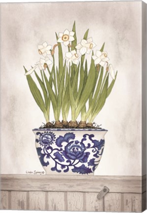 Framed Blue and White Daffodils II Print