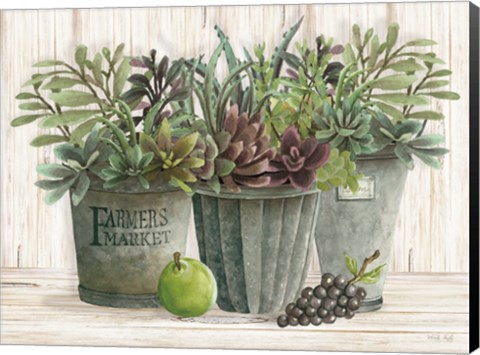 Framed Farmer Market Succulent Harvest Print