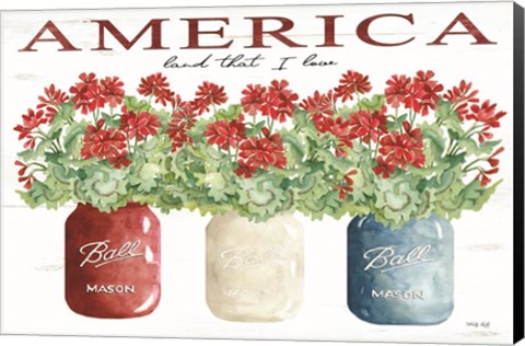 Framed America Glass Jars Print