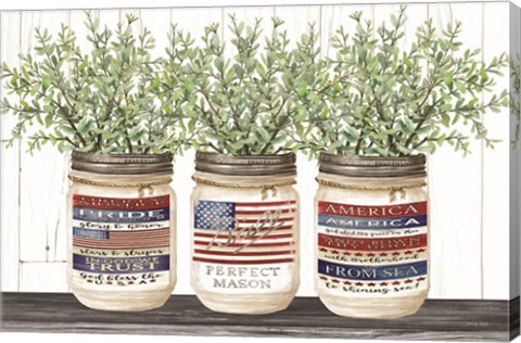 Framed Patriotic Glass Jar Trio I Print