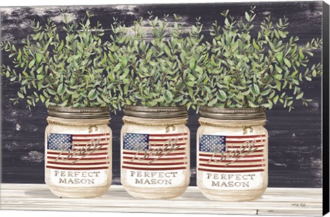 Framed Patriotic Glass Jar Trio II Print