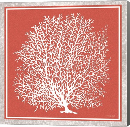 Framed Coastal Coral on Red I Print