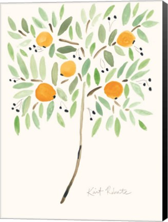 Framed Fruit at the Top of the Tree Print