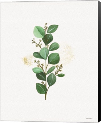 Framed Eucalyptus II Print
