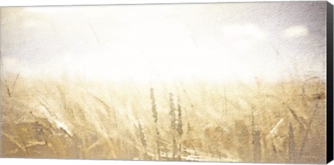 Framed Fields of Gold Print