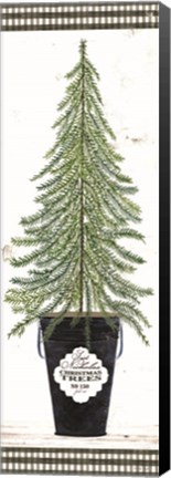 Framed Fir Tree Print