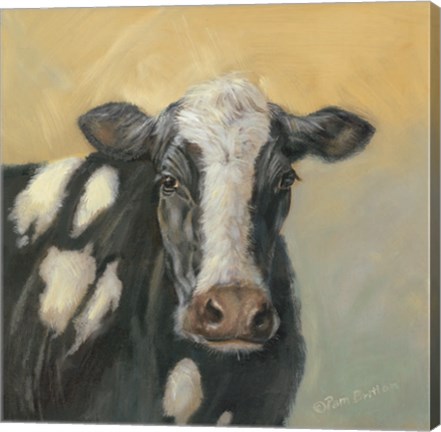 Framed Pretty Cow Print